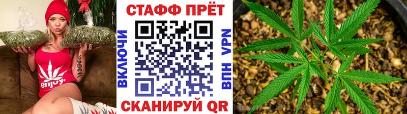 Купить Сокол Псилоцибиновые грибы  МЕФ  Амфетамин  Конопля  A PVP  Cocaine 