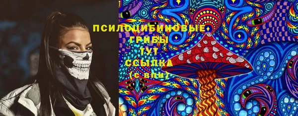 a pvp Алексин