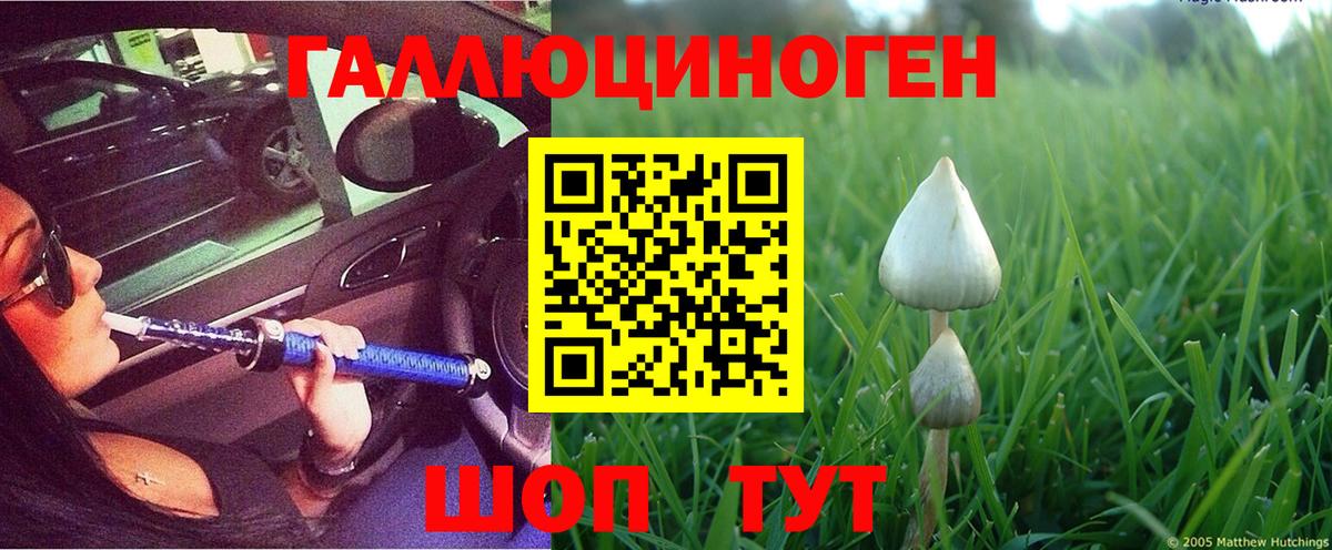 Галлюциногенные грибы прущие грибы Сокол