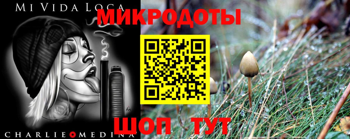 Сокол  Псилоцибиновые грибы ЛСД  Вход с VPN 